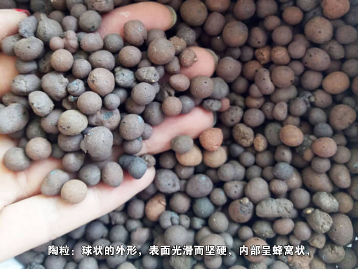 �AͲ���D�Y�Y������